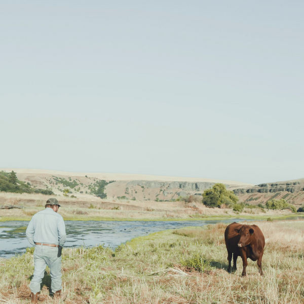 Washington Beef Ranchers American Made Beef | Family-Raised, Delivered Nationwide 🇺🇸