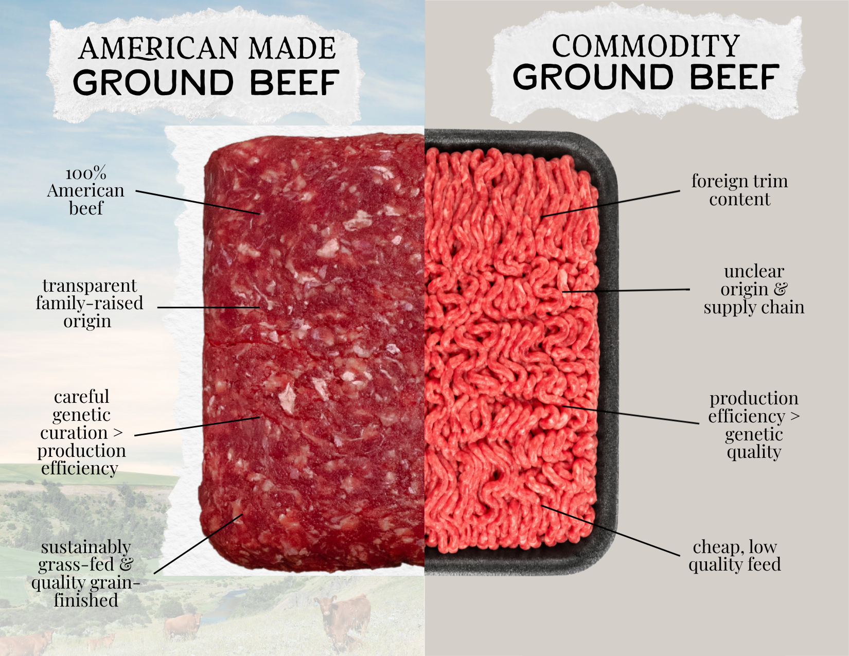 Ground Beef